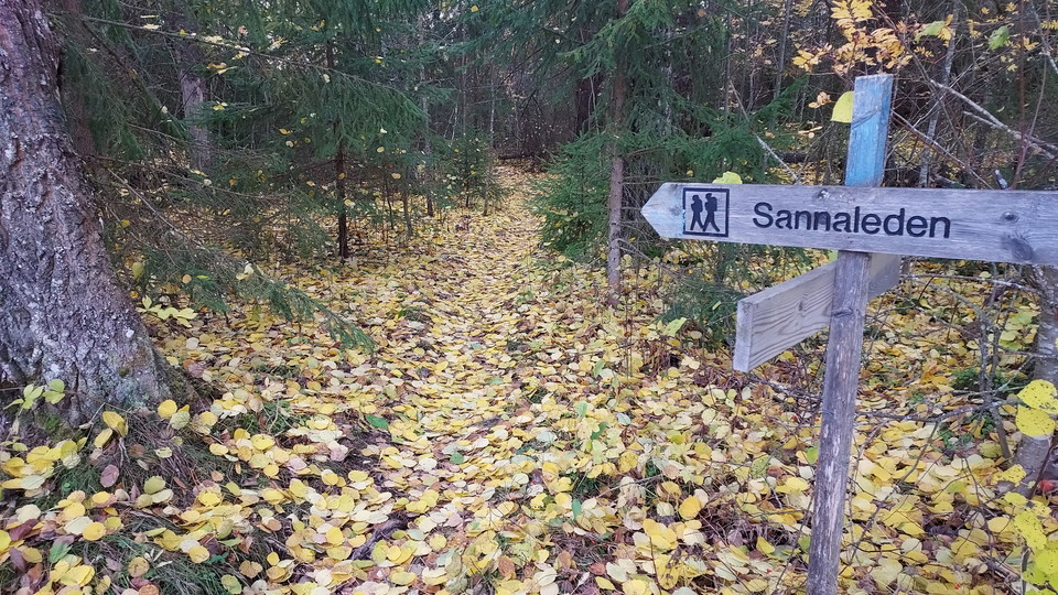Sannaleden