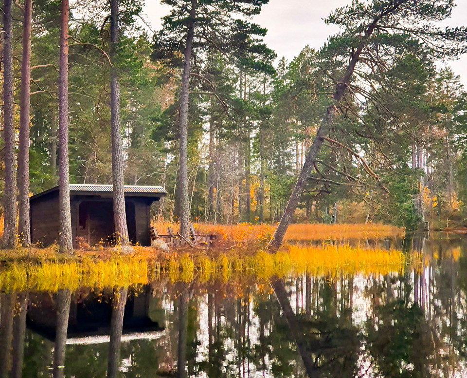Vindskyddet vid Pipsjön