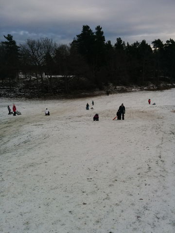 Ekhagens golfbana