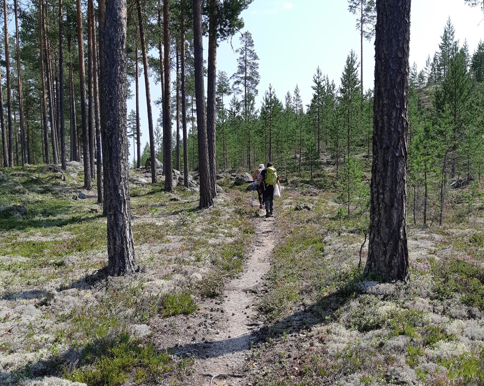Cykelväg mot lusugnen.