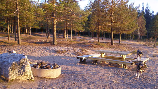 Näverön