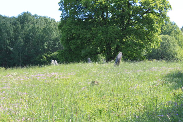 Gravfält, Hågadalen-Nåsten