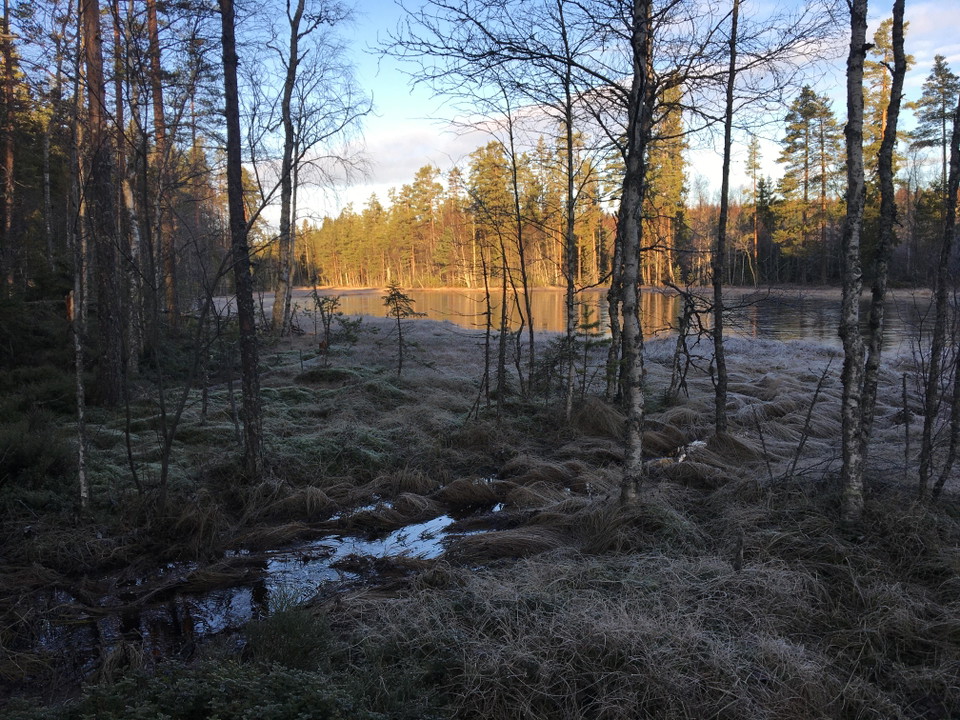 foto: Maj-Lis Wikström