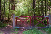 Entré till Klampenborgs naturreservat
