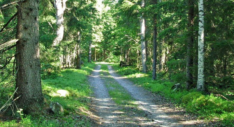 Bilden är från Vålberget som du passerar när du går detta ledsystem. 