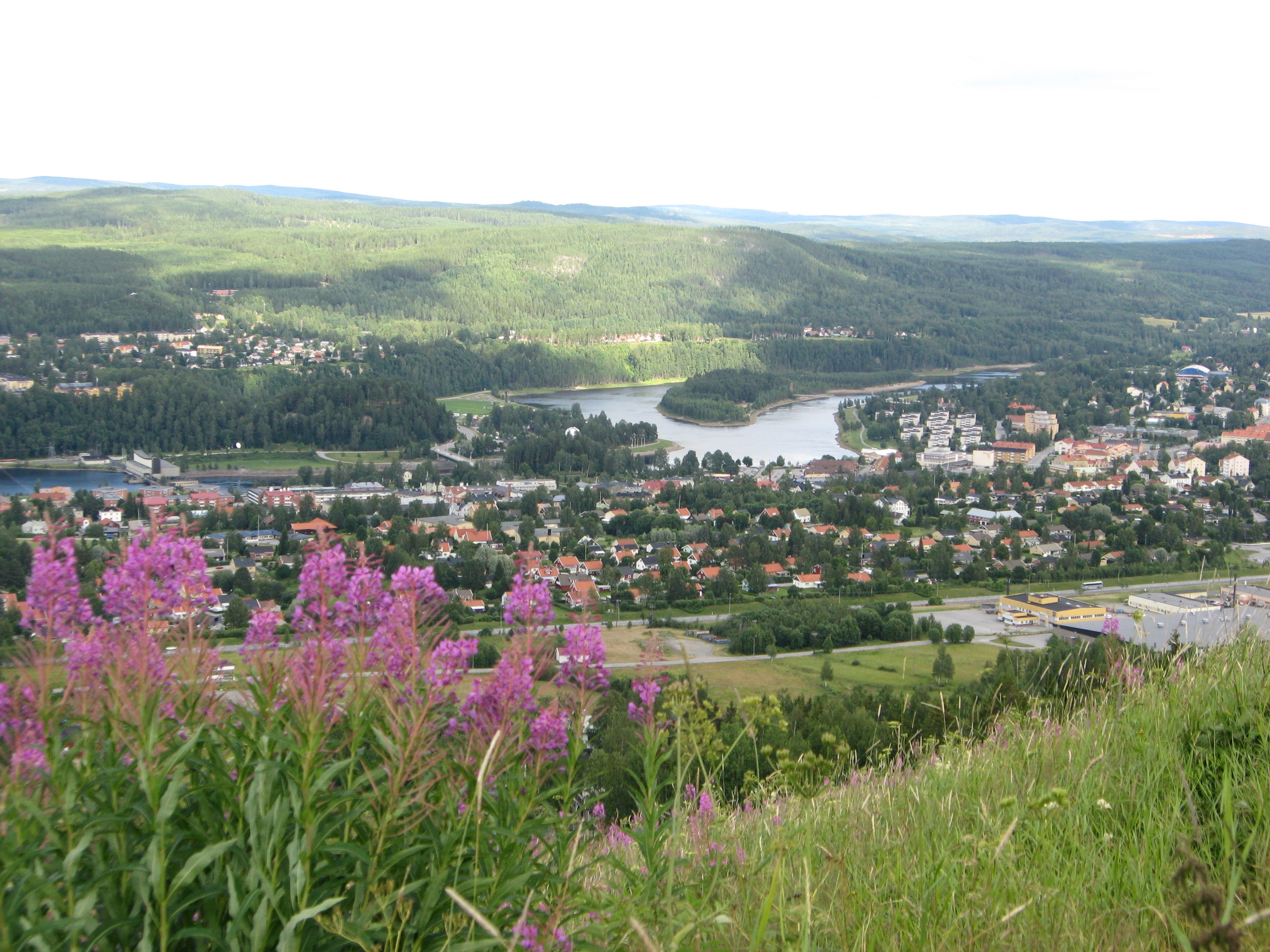 Sollefteå kommun