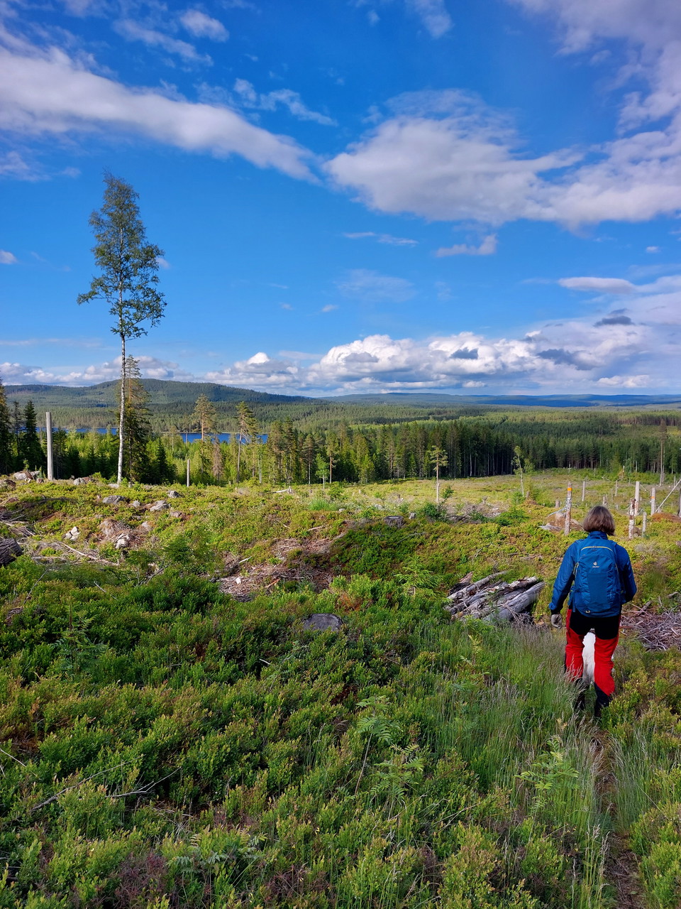 Vy mot Djursjön och Skeberget