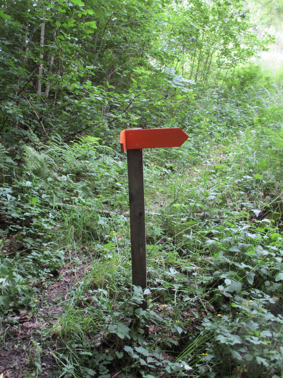 Orangemarkerade pilar visar vägen.