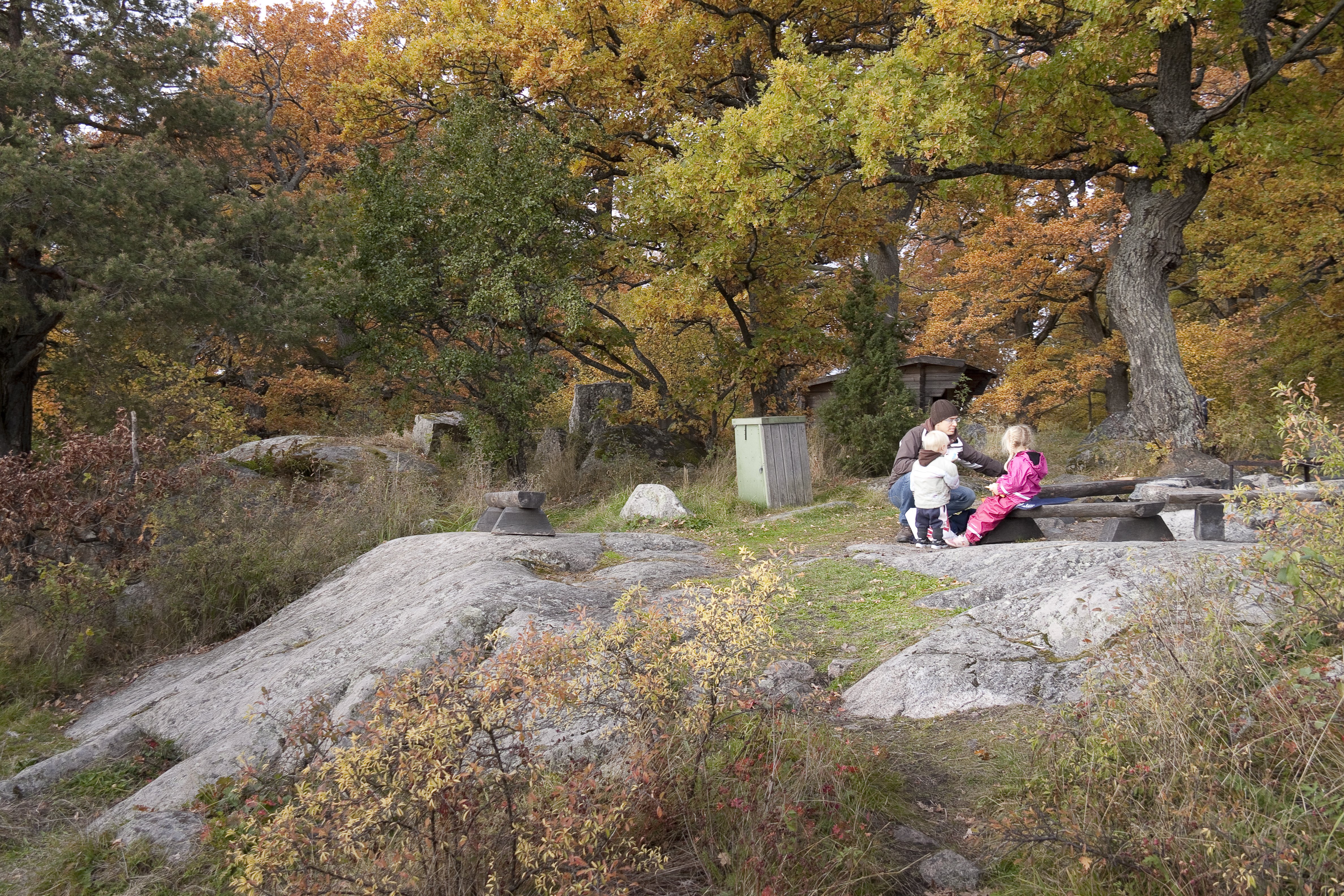 En vuxen och två barn sitter på en bänk vid en grillplats uppe på en stenhäll. Runtom är det gott om höga lövträd.