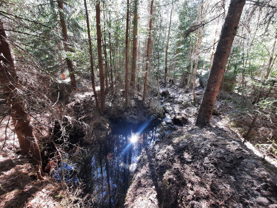 Källan glimrar i solen