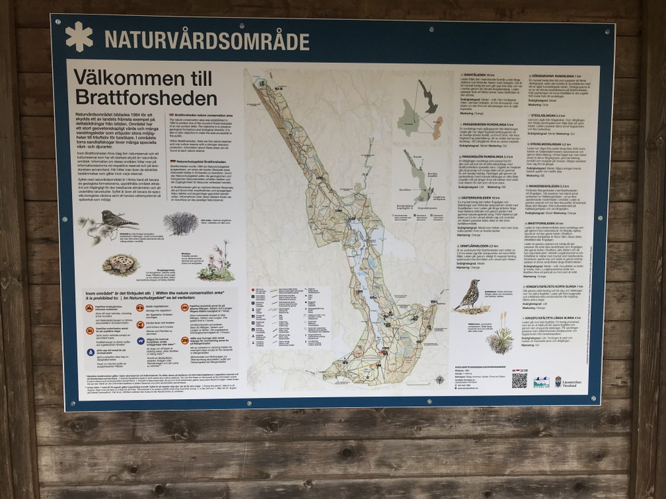 Information om Brattforshedens naturvårdsområde