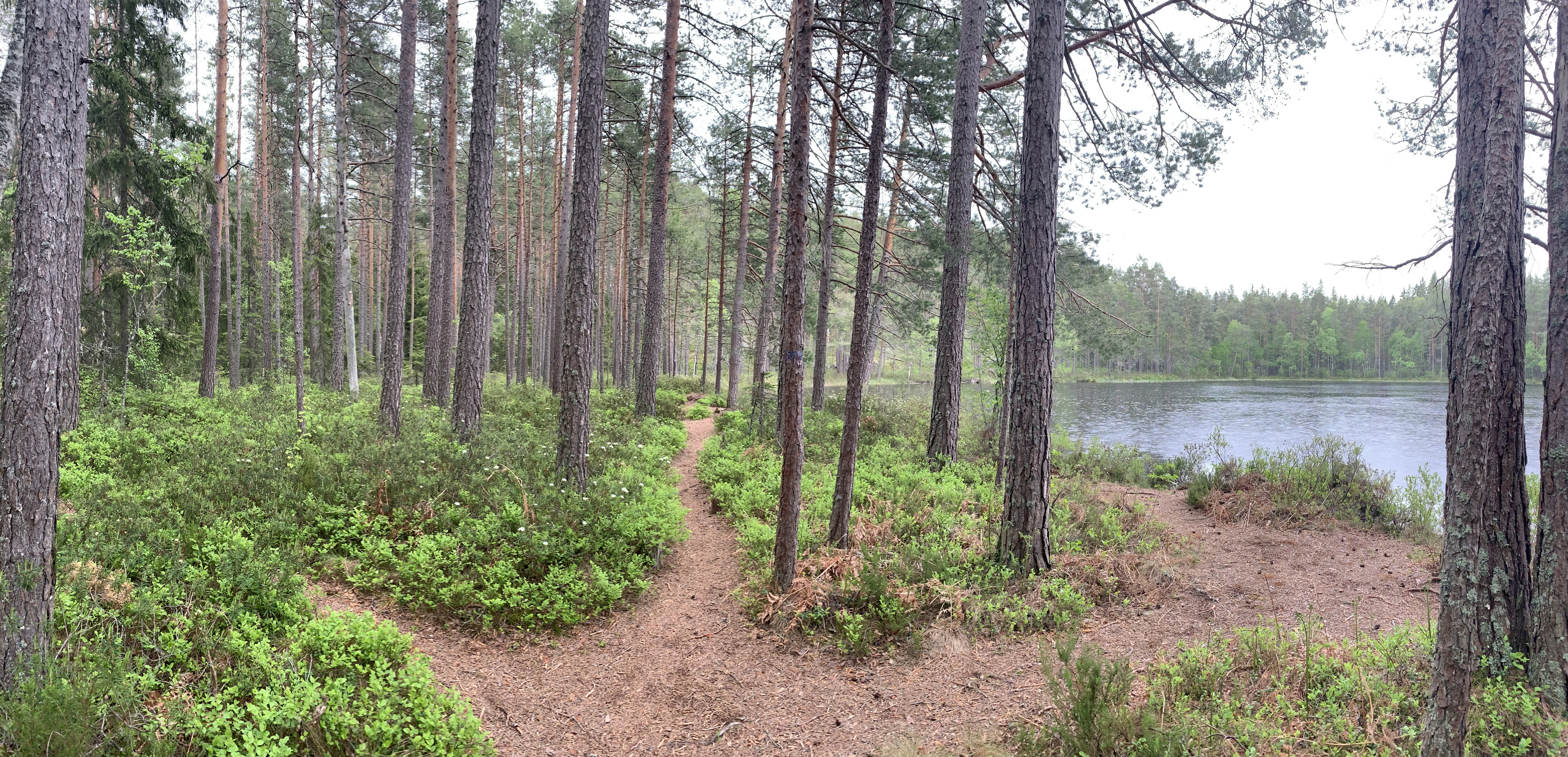Lilla Idgölenrundan, Norra Kvill