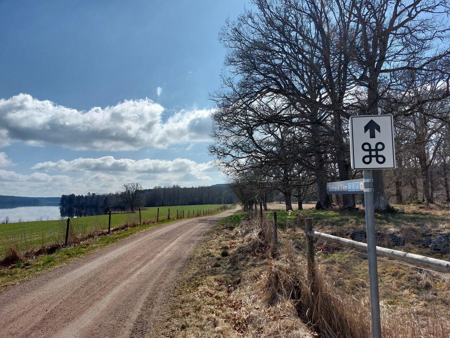 Naturnära grusvägar