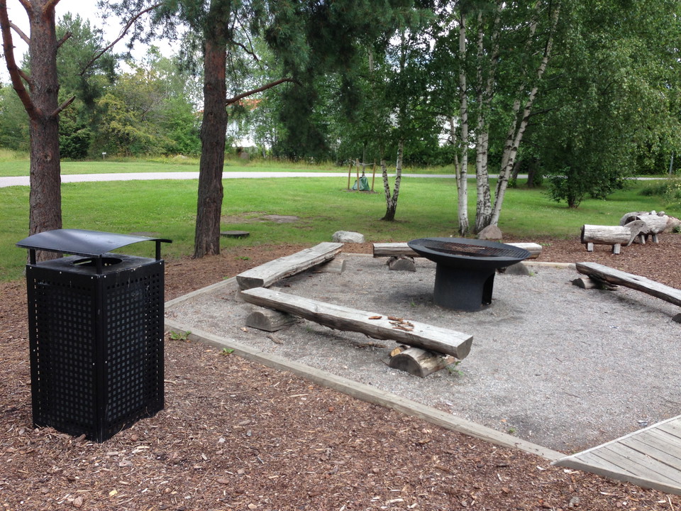 Grilla i parken