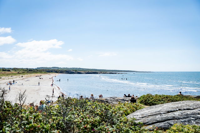 Beach, Ugglarp