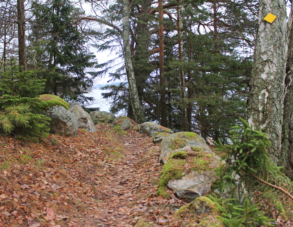 En del av Fornborgstigen går längs med en gammal stensatt väg.