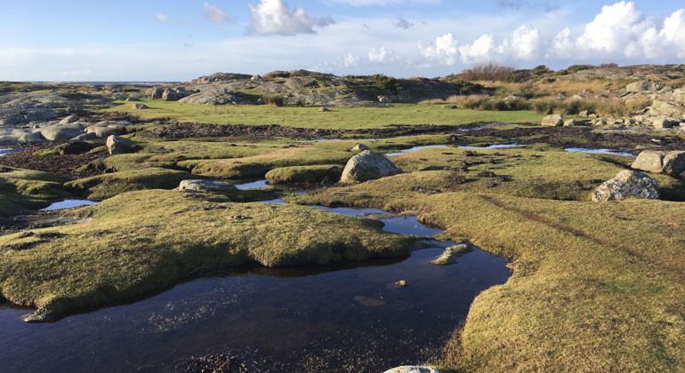 Sten med pölar av vatten som ringlar mellan en solig dag