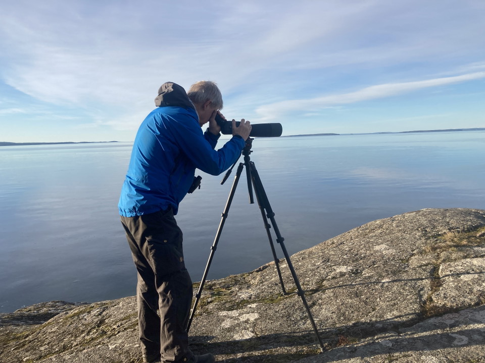 Man står och kikar i en tubkikare