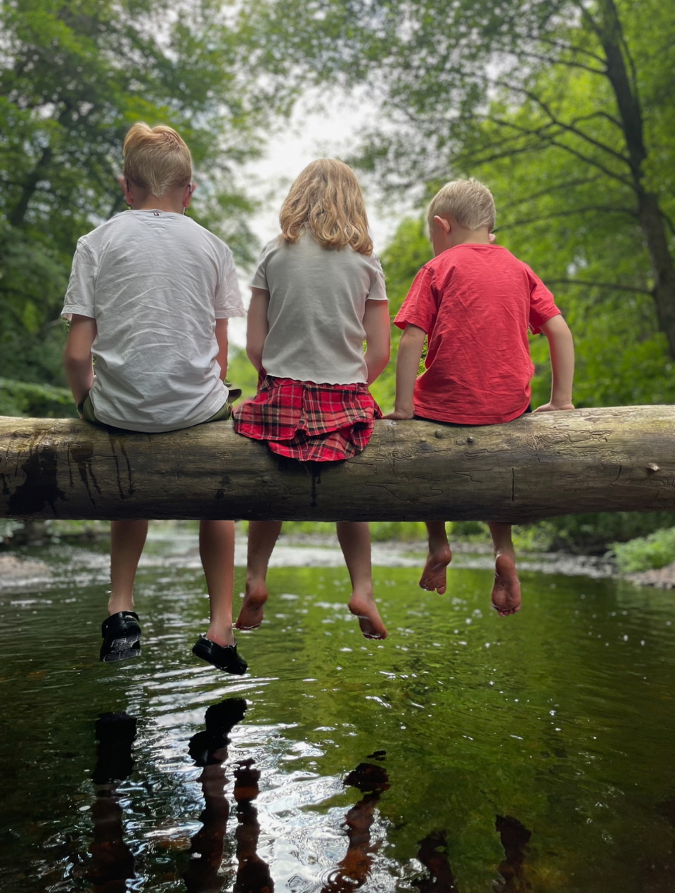 Summer in Blekinge – Free Family Adventures in Nature