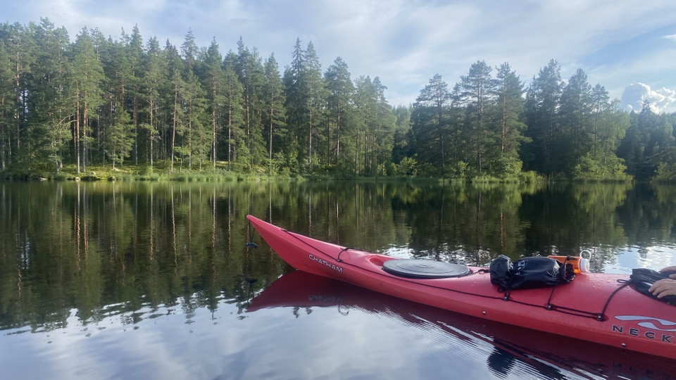 Upplev lugna skogar
