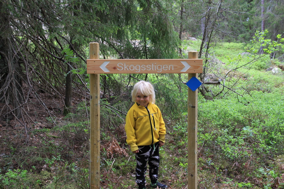 Stigkartor, vägvisare och ledmarkering visar vägen.