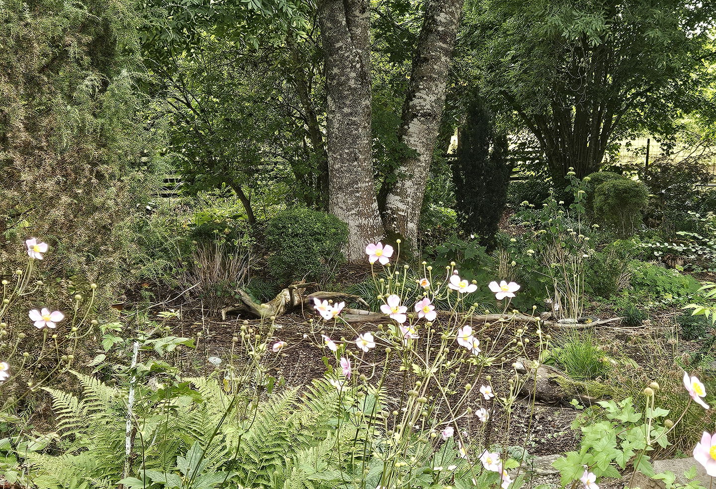 Trädgården mitt i skogen