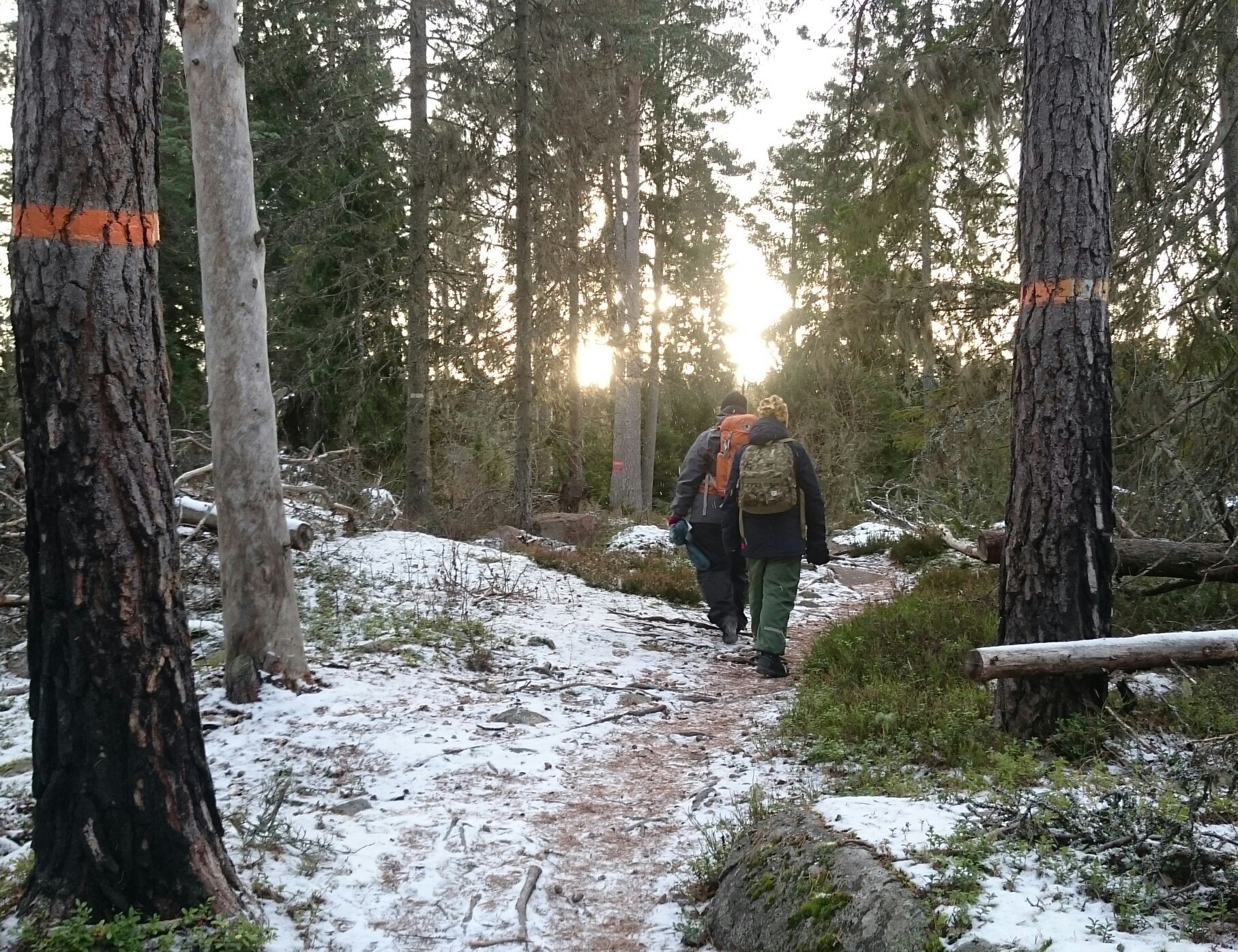 Två vuxna med varsin ryggsäck på ryggen går på en ojämn skogsstig. På två trädstammar finns orange markeringar för Upplandsleden.