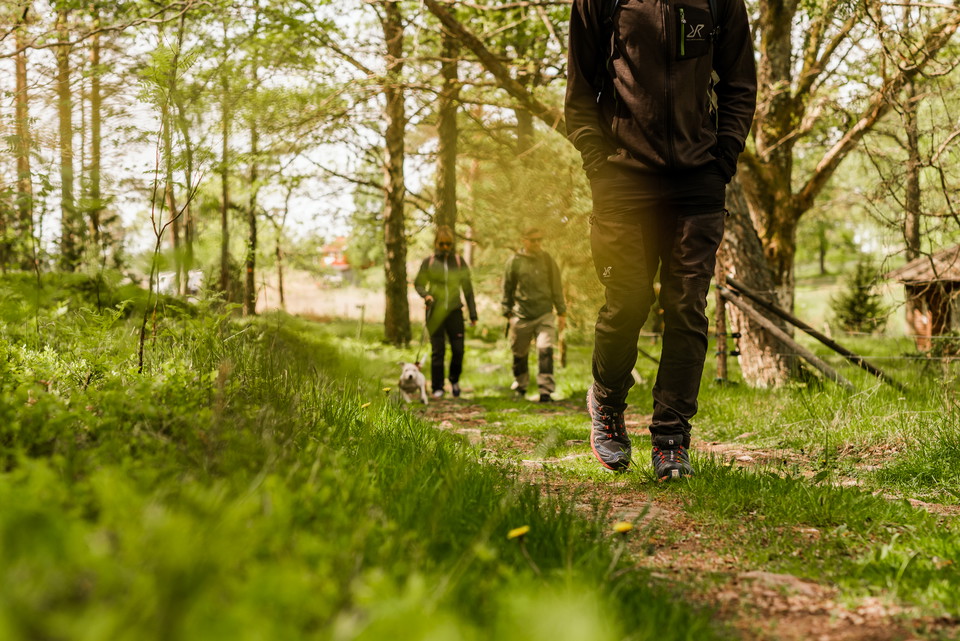Vandrare på en grön stig