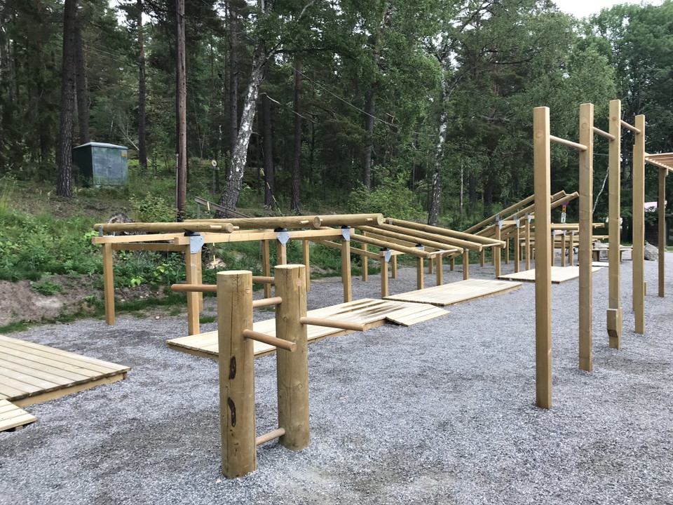 Dips, chins och vikter