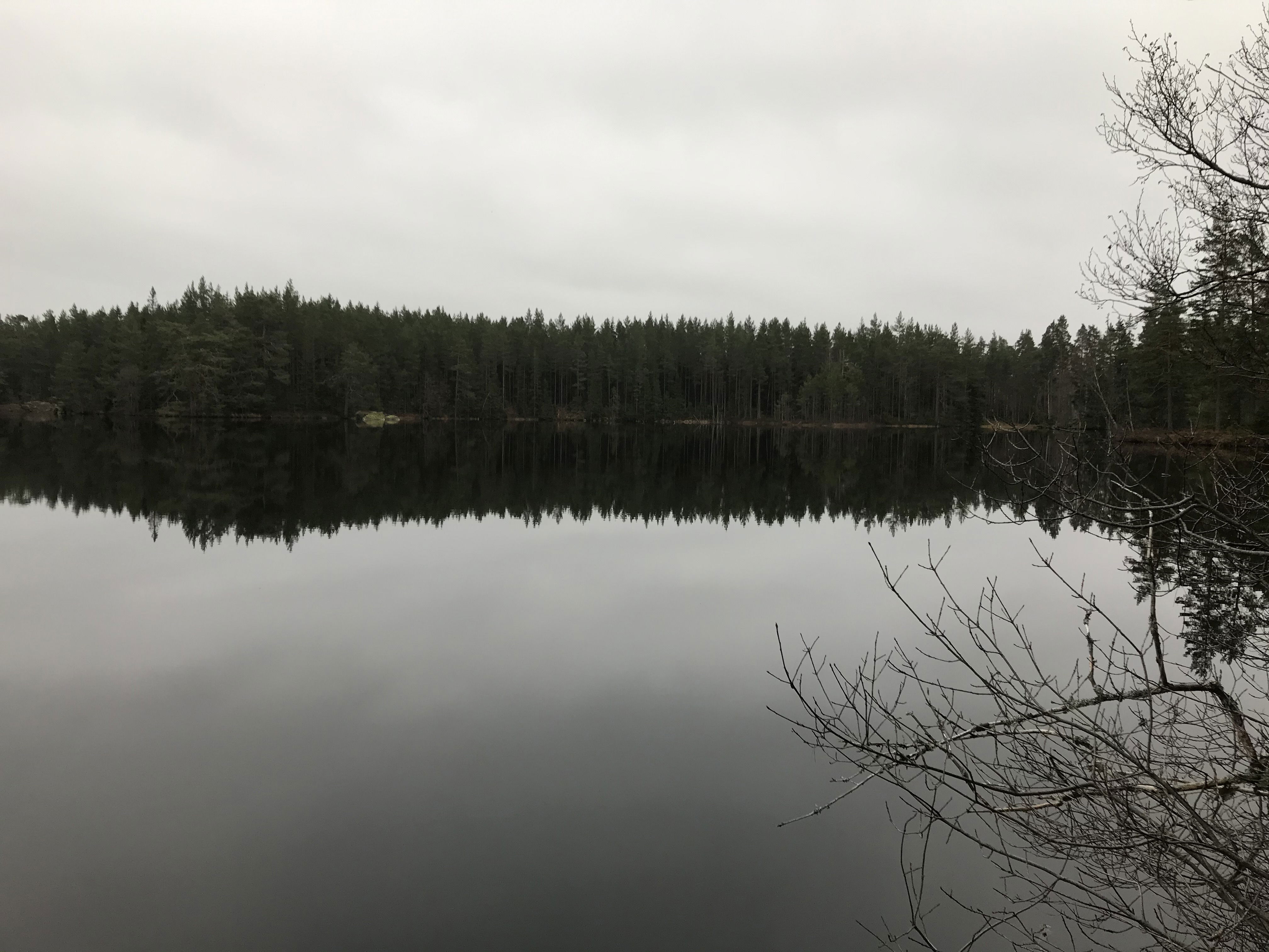 Kvarnsjön Sveaskog