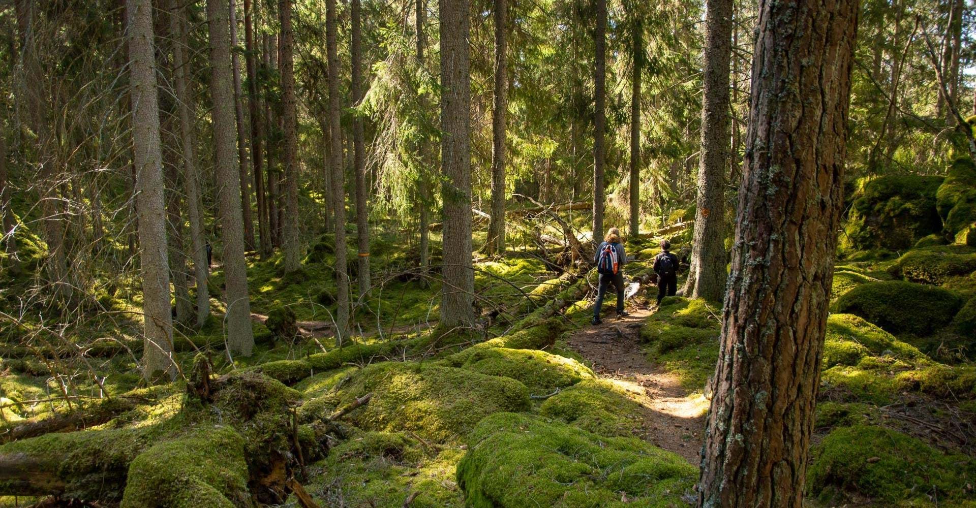 Stora Namnsgölen runt, Östgötaleden