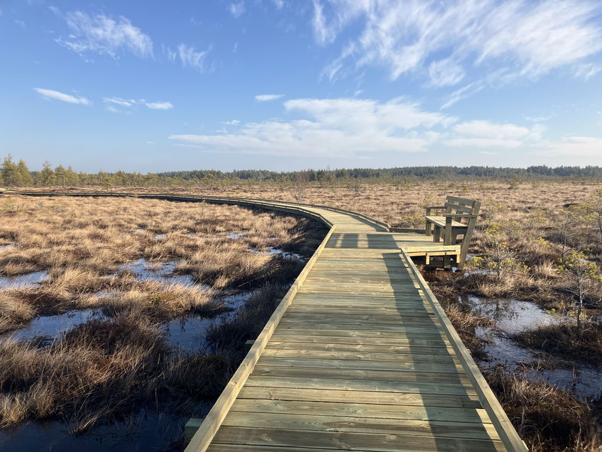 Kärnskogsmosse naturreservat