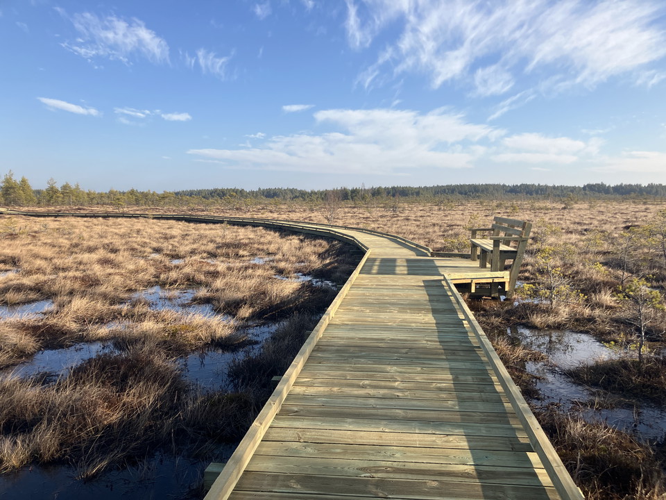 Kärnskogsmosse naturreservat