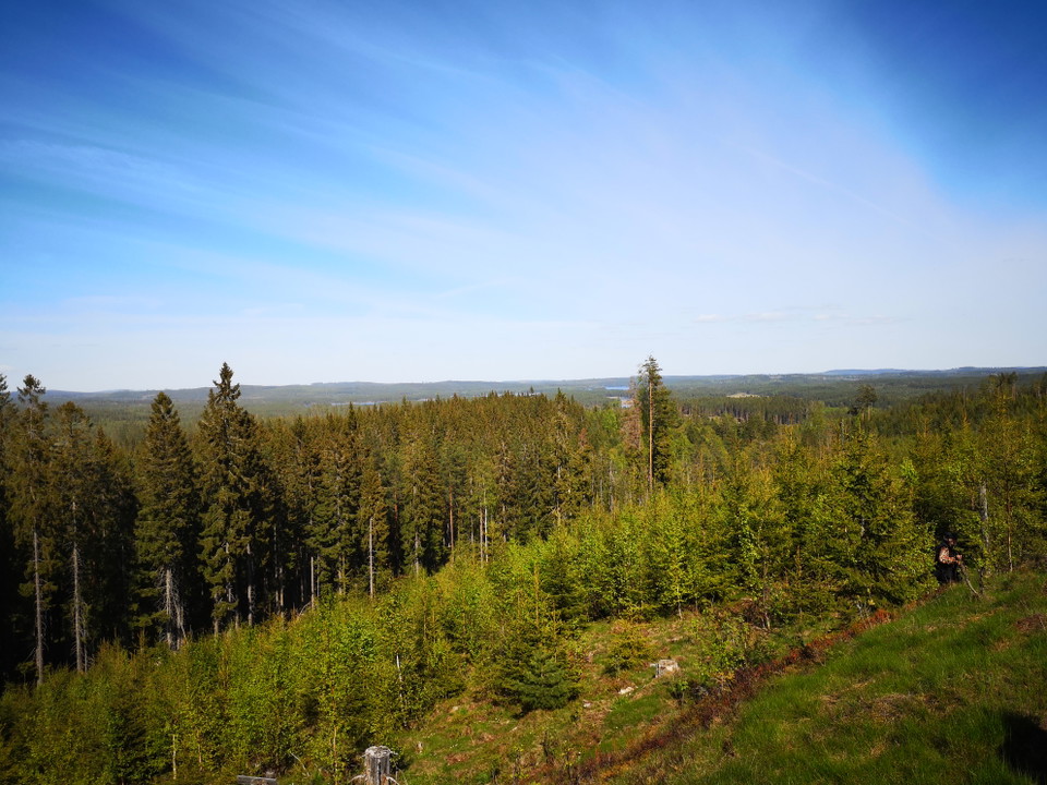 Vy från Trollugnsberget