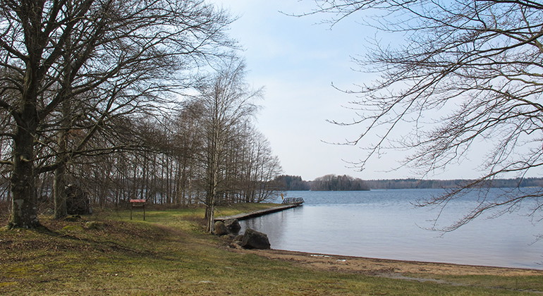 Foto: Länsstyrelsen i Kronbergs län