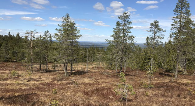 Harfjället, Naturreservat