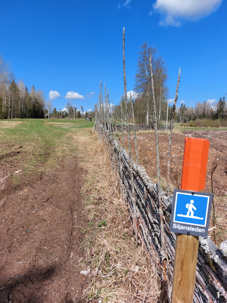 Längs gärdsgård i Hedsåsen