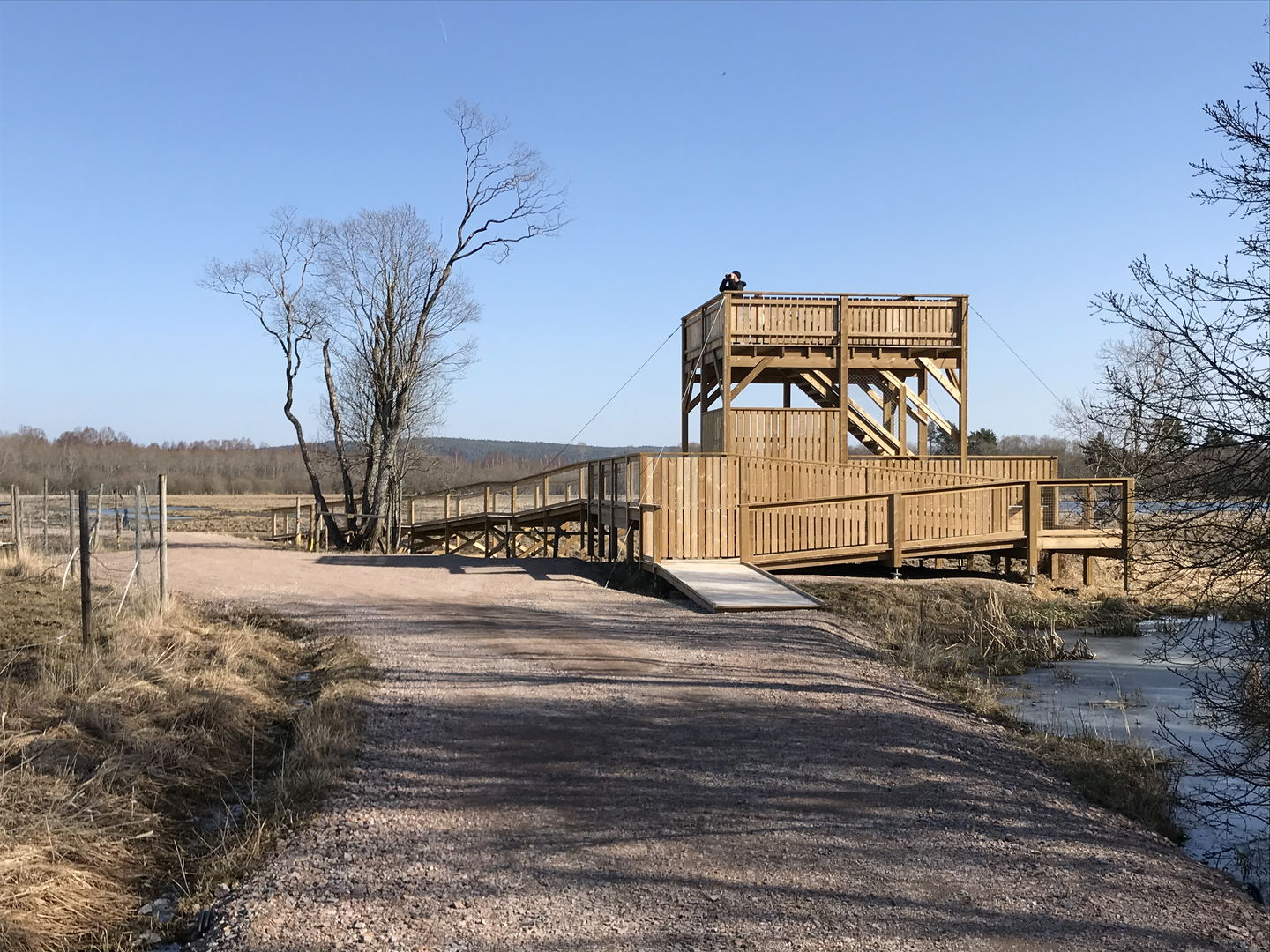 Stadssjöns vandringsled och fågeltorn, en solig vinterdag.