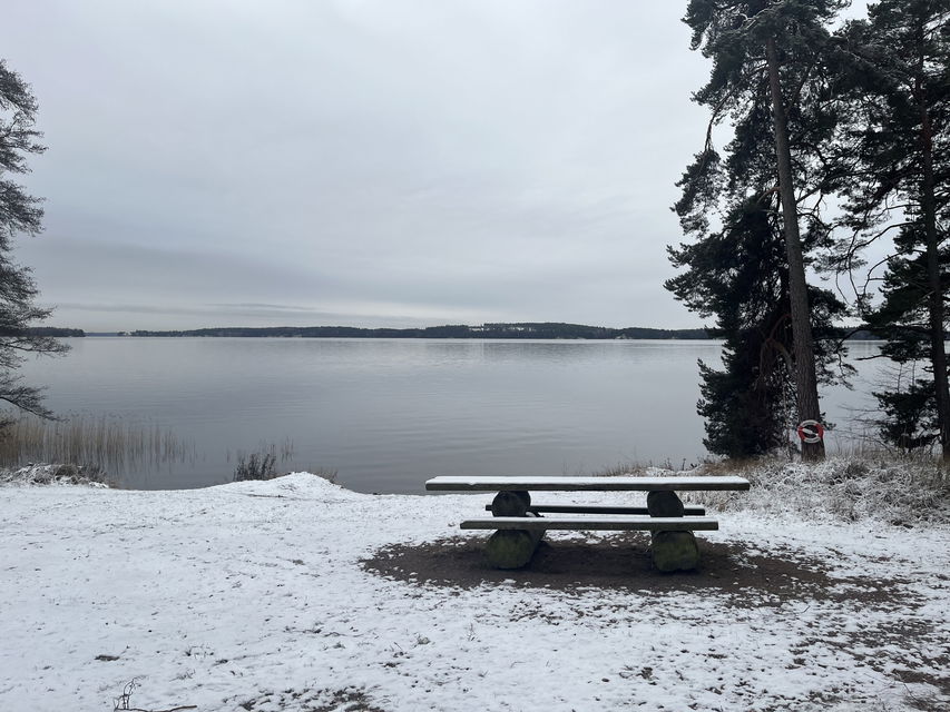 Bänkbord i naturreservatet