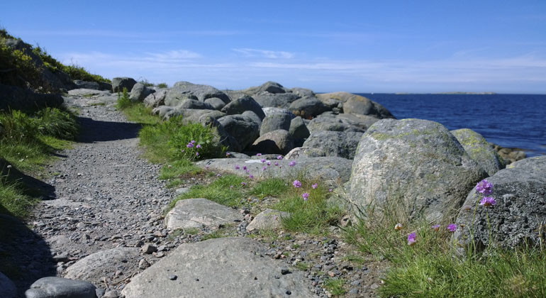 gångstig vid havet