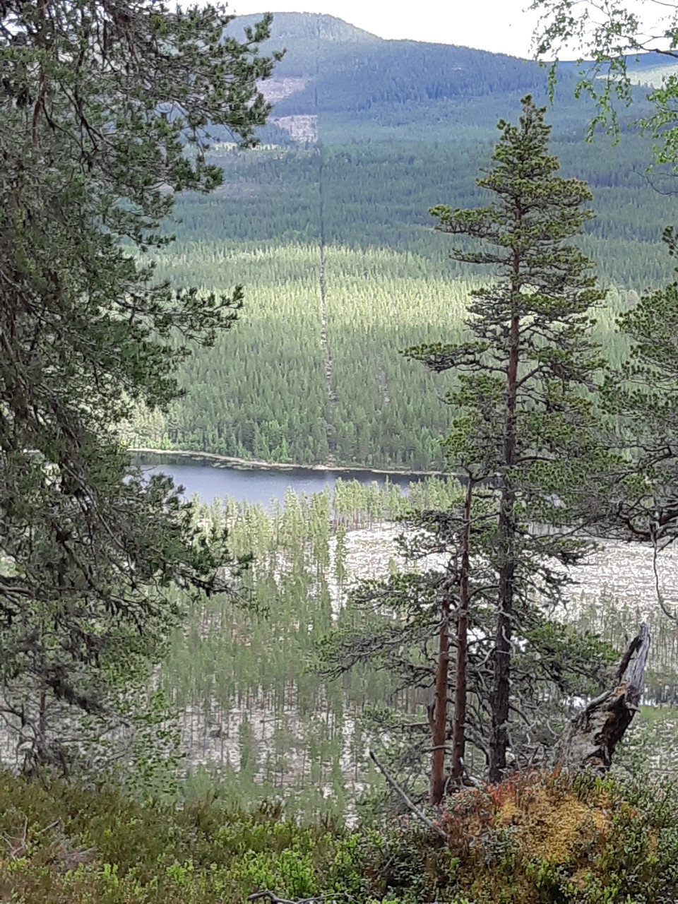 Gränsgata över Klucken och ner i Klucksjön.