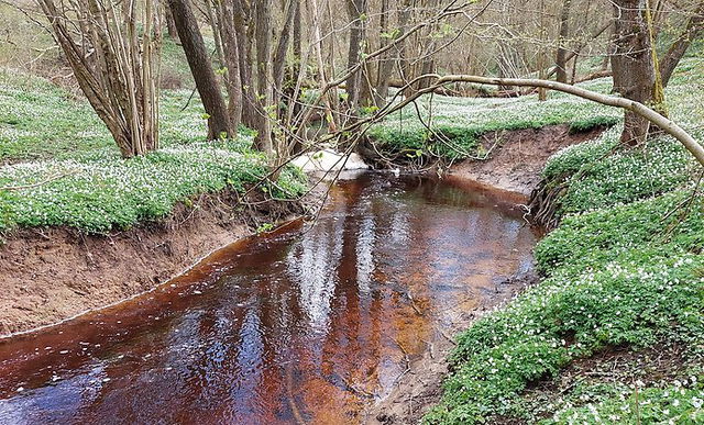 Ådalen, Naturreservat