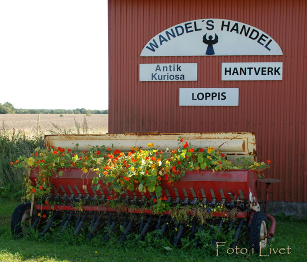 Wandels Handel