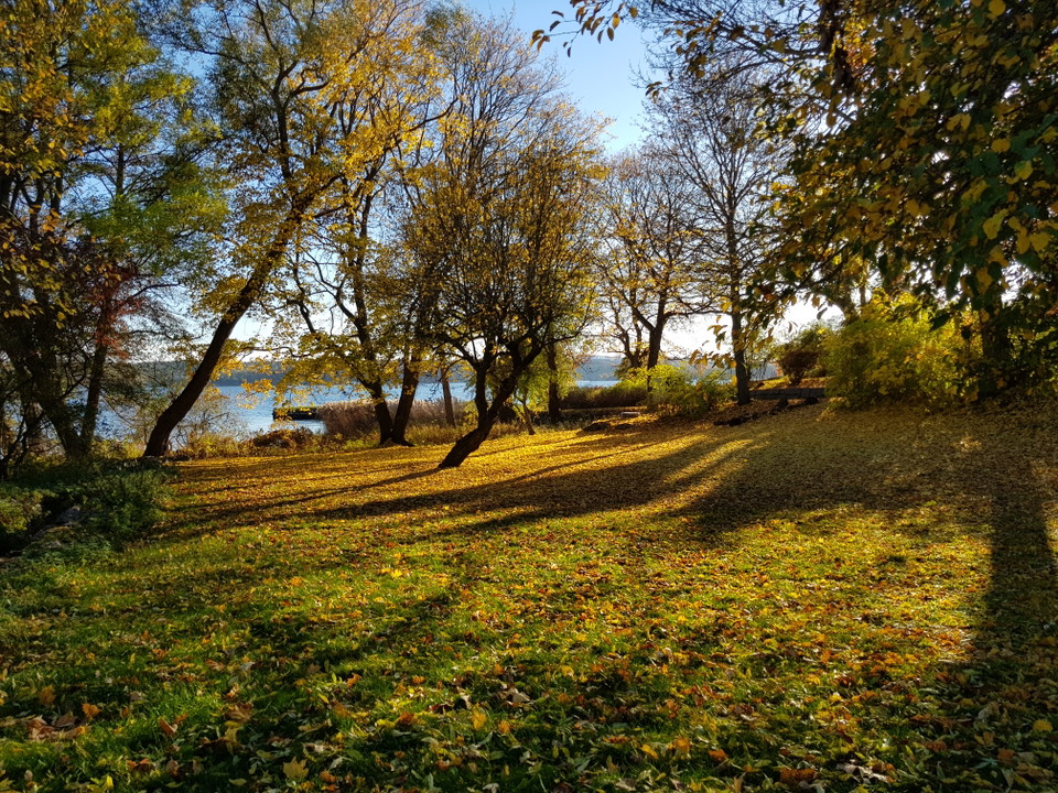 Gräsmark vid Mölna gård. Foto Lidingö stad
