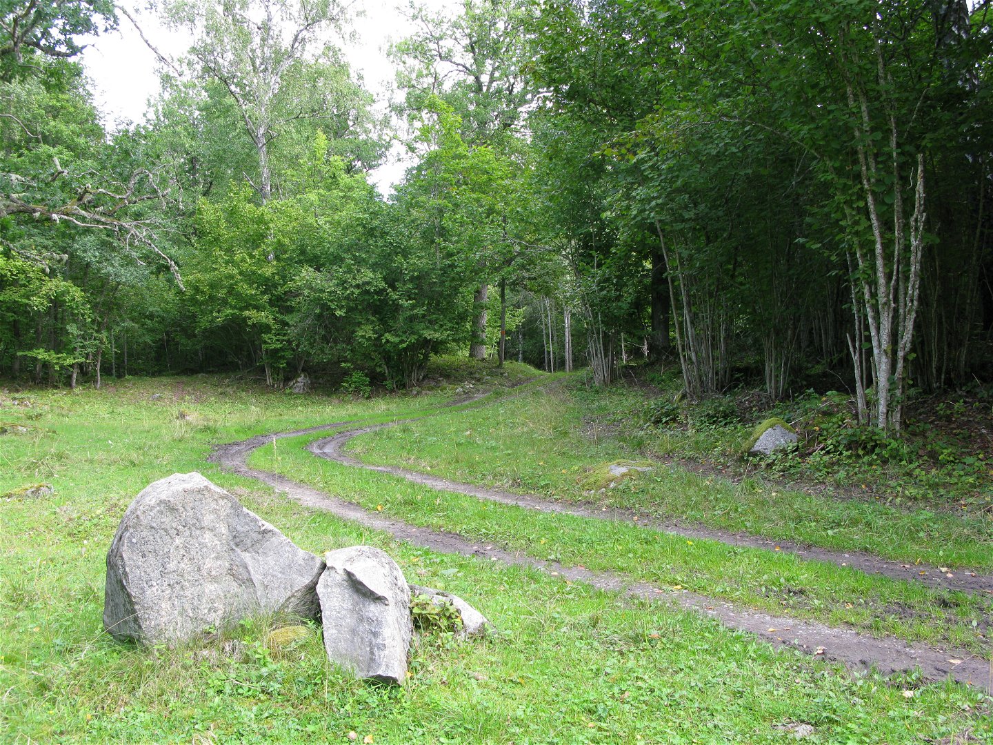 Två smala stigar löper parallelt över en gräsyta. I bakgrunden är det skog och i förgrunden finns några större stenar.