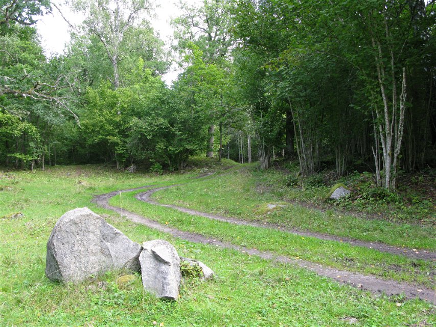 Två smala stigar löper parallelt över en gräsyta. I bakgrunden är det skog och i förgrunden finns några större stenar.