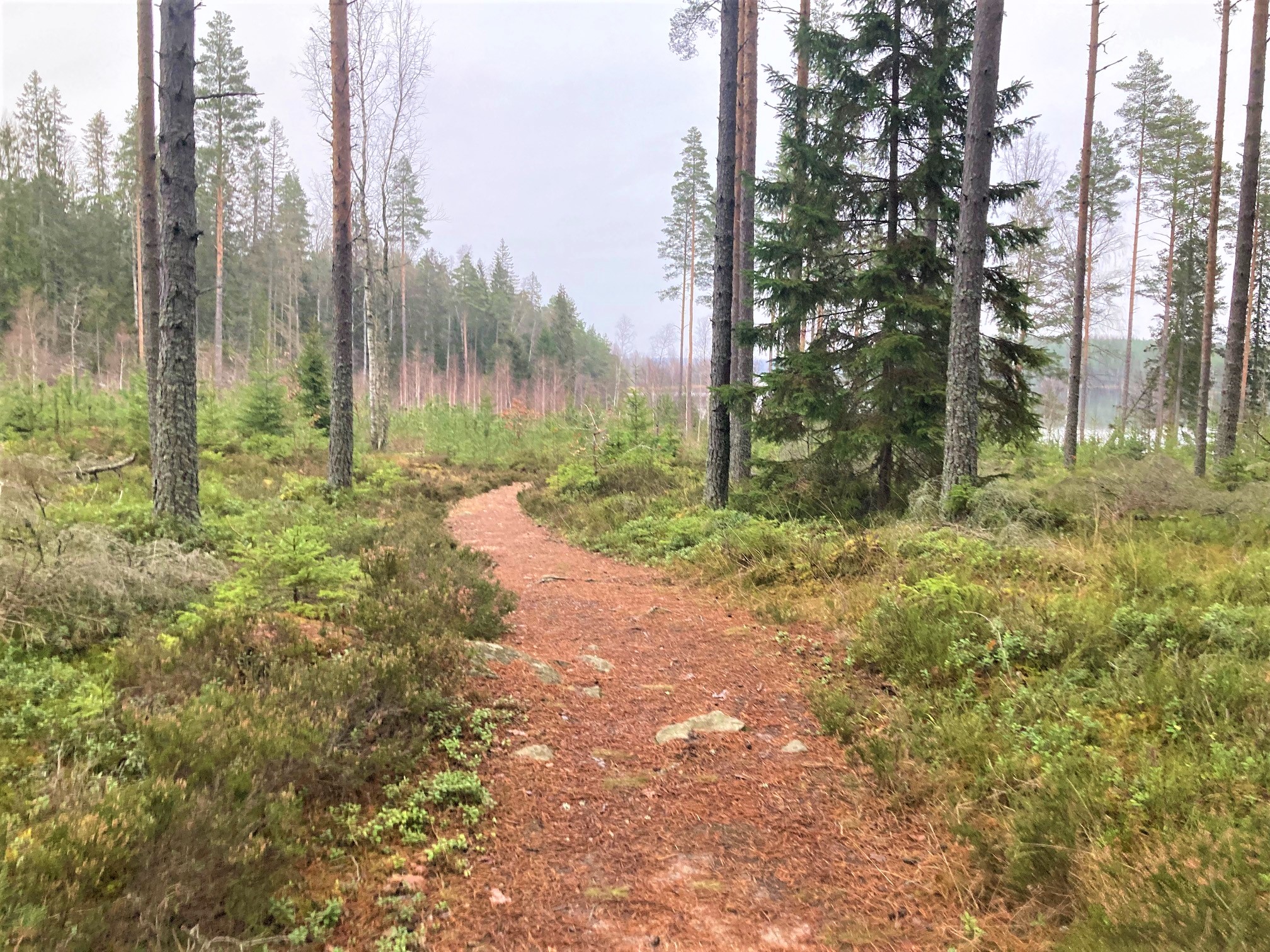 Stigen ner till badplatsen