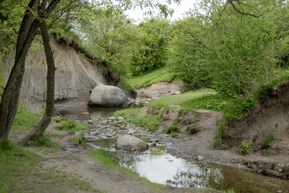 Dalgång med bäck i botten. Glest stående buskar i slänterna.
