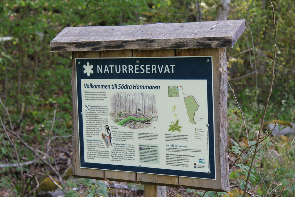 Informationstavla över naturreservatet.