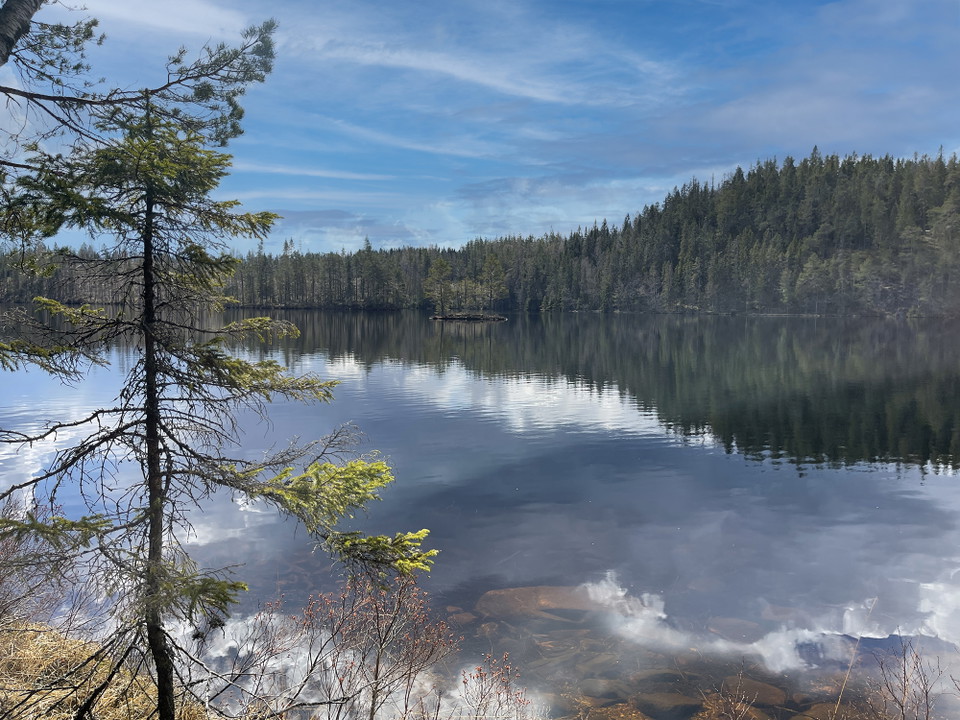 Vy ut över stilla vatten.